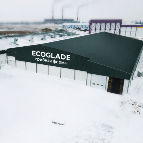 ТОО «ECO GLADE»